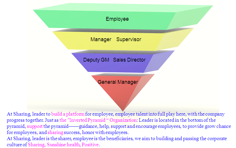 the company presented the "inverted pyramid" organization